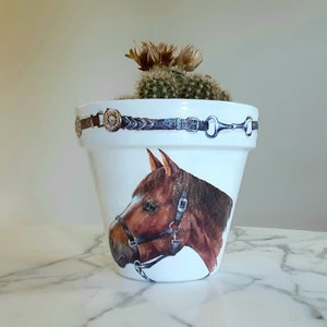 Horse flowerpot-6 inch, Horse planter, Equestrian gifts, Horse lover gifts, Indoor planter, Horse plant pot, Decoupage, Equestrian decor