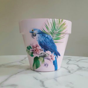 Maceta de loro de 15 cm, regalos para loros, macetas tropicales, regalo para amantes de las aves, maceta de interior, maceta de decoupage, loros, macetas para pájaros tropicales