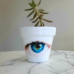 May include: White ceramic planter with a blue eye painted on the front. A small succulent plant is growing in the planter.