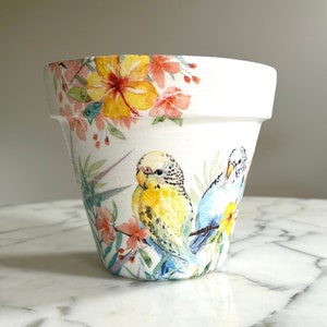 Maceta para periquitos de 15 cm, regalo para periquitos, macetas tropicales, regalo para amantes de las aves, maceta de interior, maceta para decoupage, loros, macetas para pájaros tropicales