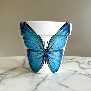 May include: White ceramic planter with a blue butterfly design. The butterfly has black markings and is centered on the front of the planter.