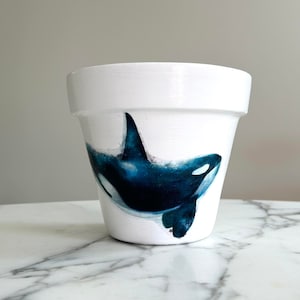 Orca whale flowerpot-6 inch, Orca whale gifts, Killer whale gifts, Whale plant pots, Ocean planters, Beach gifts, Indoor planters, Decoupage