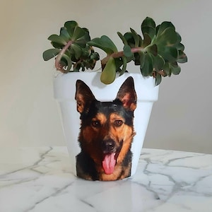 May include: White ceramic planter with a printed image of a German Shepherd dog's face. The planter is filled with a green succulent plant.