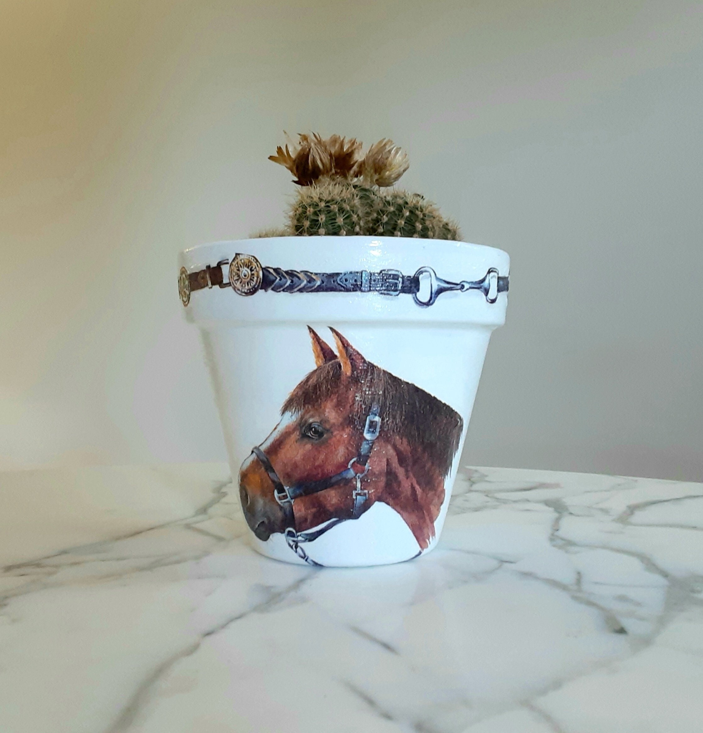 Horse Flowerpot6 Inch Horse Planter Equestrian Gifts Horse Etsy