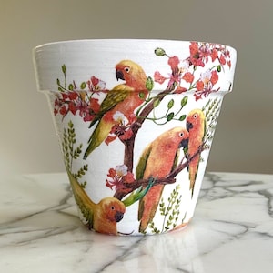 Puede incluir: Maceta de cerámica blanca decorada con imágenes de loros naranjas y amarillos posados en ramas con flores rojas. La maceta tiene una superficie ligeramente texturizada y una forma cónica clásica.