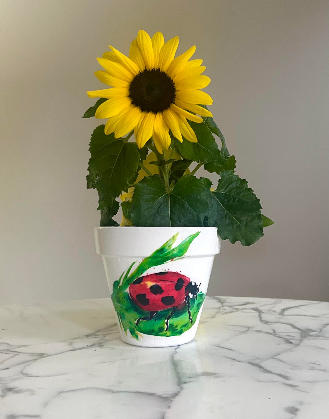 Ladybug Planter, Indoor Plant Pots, Ladybug Gifts, Nature Gifts, Bright