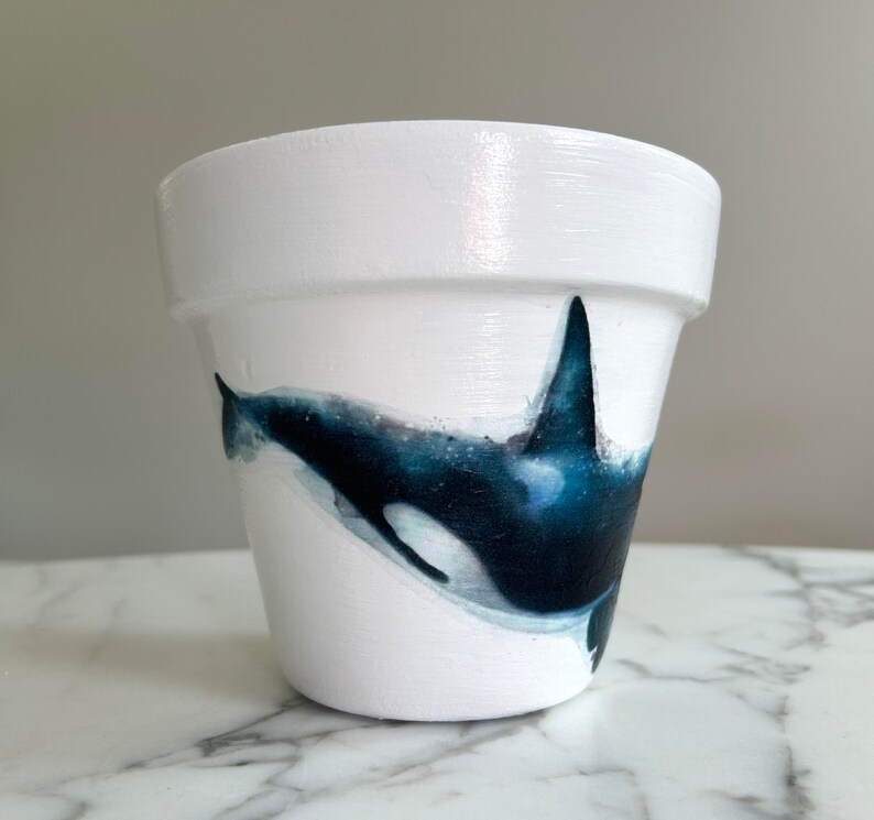 Orca Whale Flowerpot6 Inch Orca Whale Gifts Killer Whale Etsy