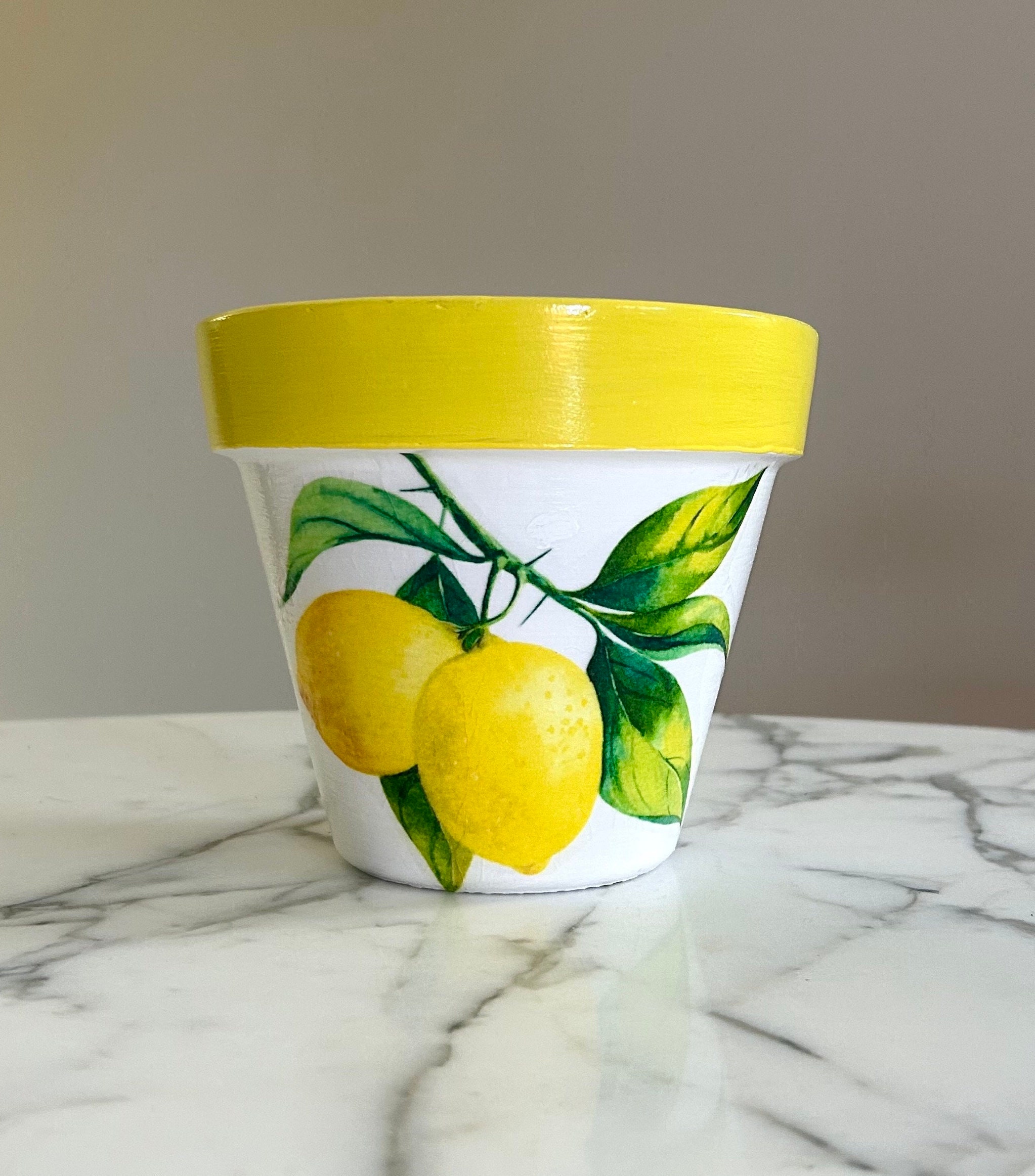 Lemon planter-6 inch, Lemon clay pot, Decoupage pot, Indoor planters, Lemon gift, Lemons, Housewarming gift, Gifts for her, Plant lady gift