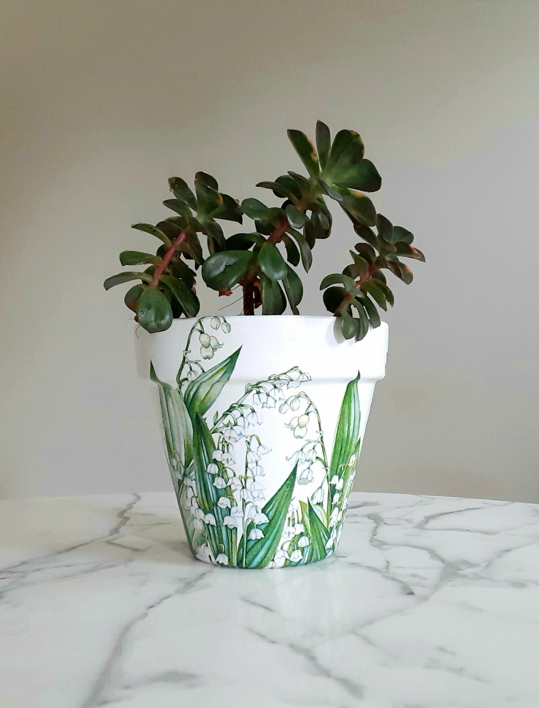 Lily Flowerpot6 Inch Lily Flower Gifts Lily Flowers Gifts Etsy