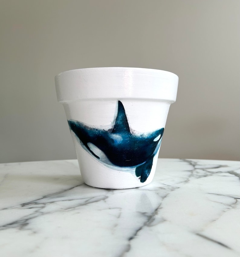 Orca Whale Flowerpot6 Inch Orca Whale Gifts Killer Whale Etsy