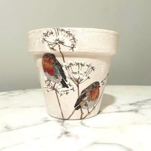 May include: A cream-colored, ceramic flower pot featuring two robins perched on delicate stems with white, star-shaped flowers. The pot has a slightly textured surface and a classic, rounded shape, perfect for indoor or outdoor use.