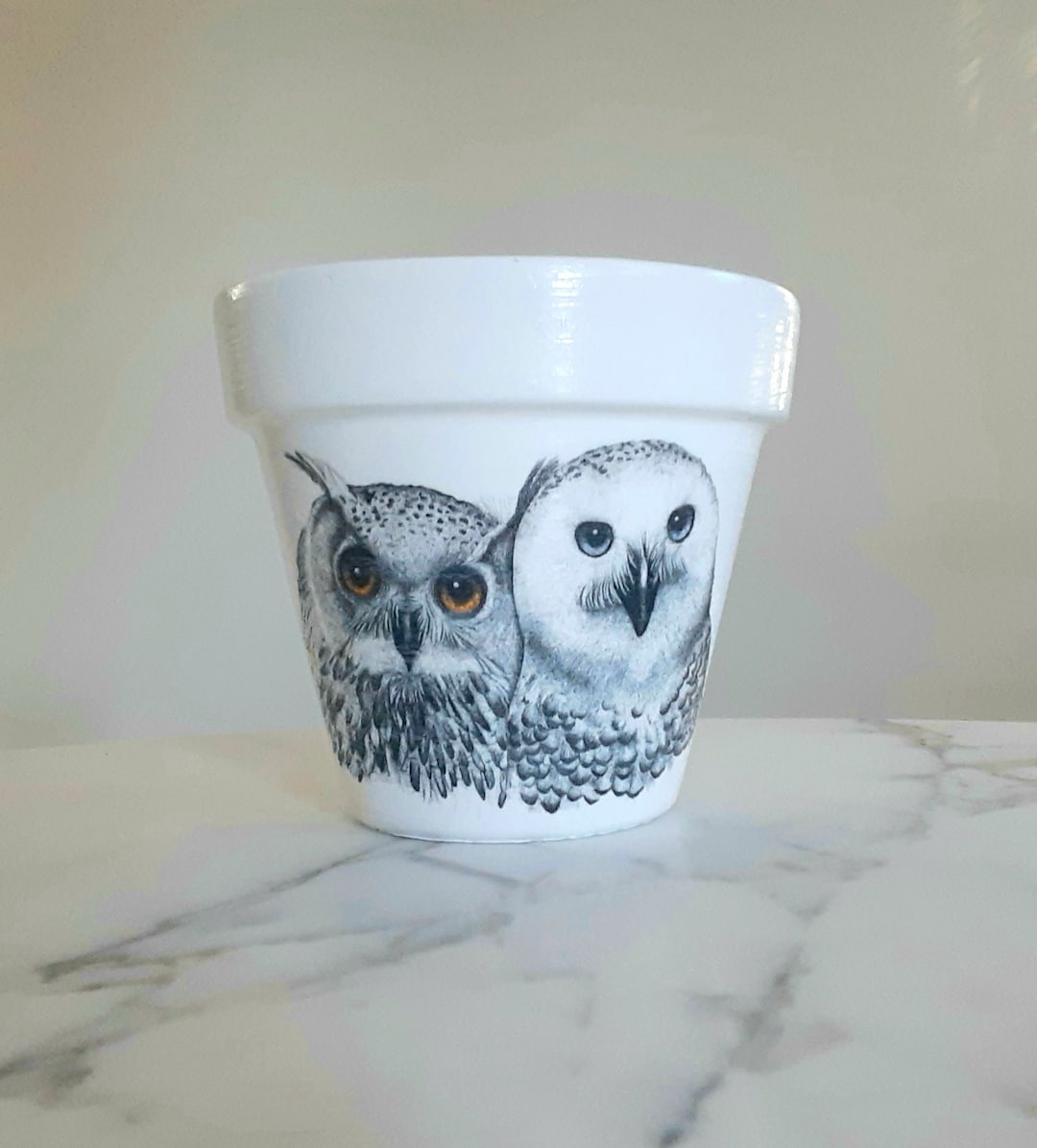 Owl Planter6, Owl Gifts, Animal Flowerpots, Nature Gifts, Owls, Owl Decor, Decoupage, Indoor