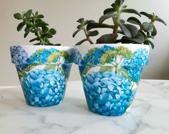 Image of Hydrangea terracotta pot gift