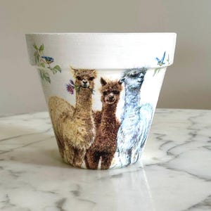 May include: White ceramic flower pot featuring a design of three alpacas, two brown and one white, with bluebirds and flowers.