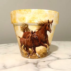 Decoupage paardenbloembak: ruiterdecor, kamerplant (6 inch)