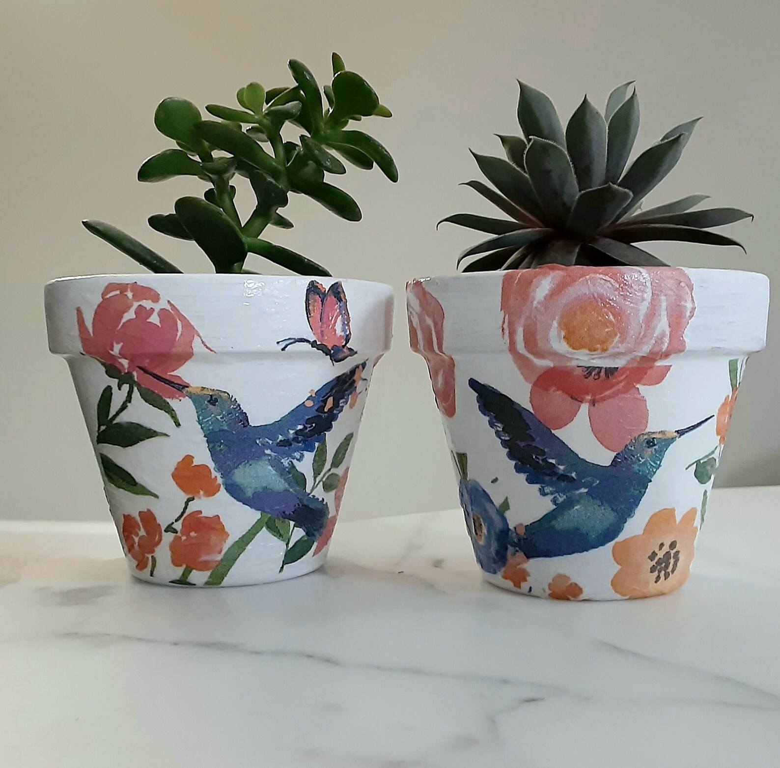 Etsy Pots For Plants - 3xcc49l