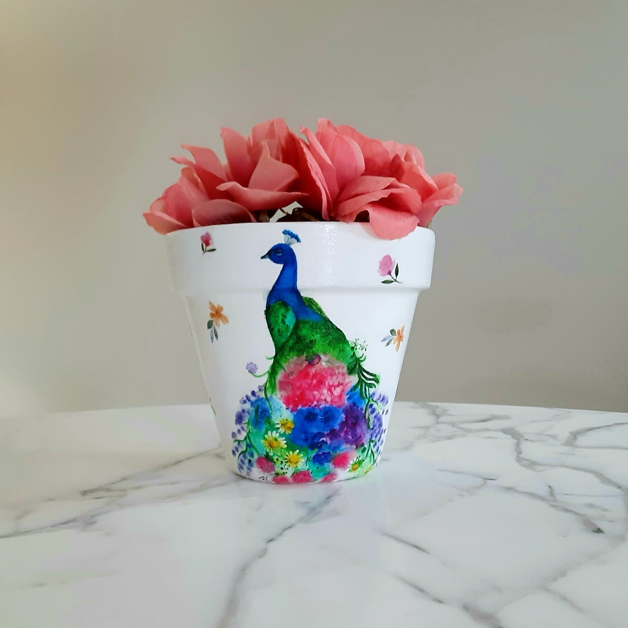 ★QUMAPON ROUGE+QUMAPON PEACOCK 2.5