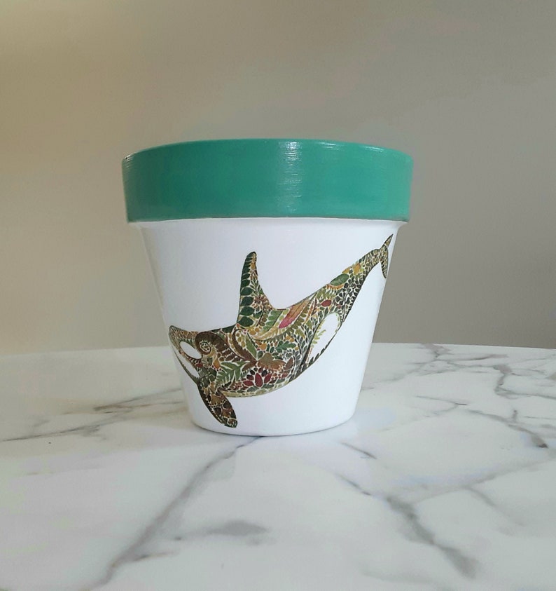 Orca Whale Flowerpot6 Inch Orca Whale Gifts Killer Whale Etsy