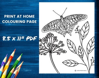Butterfly Coloring Page Instant Download | Nature Coloring Page Printable for kids teens adults