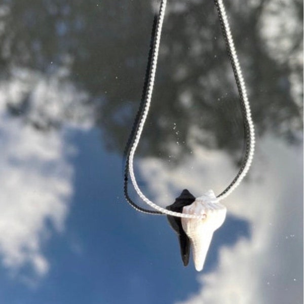 SHIPWRECKED whelk seashell necklace on silver plated 18in chain