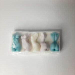 Puede incluir: Cinco peque&ntilde;as barras de jab&oacute;n decorativas con forma de torso humano. Las barras est&aacute;n dispuestas en fila y son de varios colores, incluyendo azul claro, rosa y blanco.