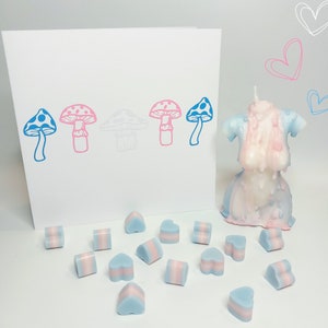 Paquete de regalo para personas transgénero, vela perfumada y cera derretida, regalos de la bandera transgénero LGBTQIA, regalo para salir del armario de hombre a mujer