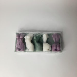 Puede incluir: Un conjunto de cinco peque&ntilde;as figuras decorativas en una bolsa de pl&aacute;stico transparente. Las figuras tienen forma de torso humano y est&aacute;n hechas de un material suave y flexible. Las figuras son de varios colores, incluyendo morado, blanco y verde.