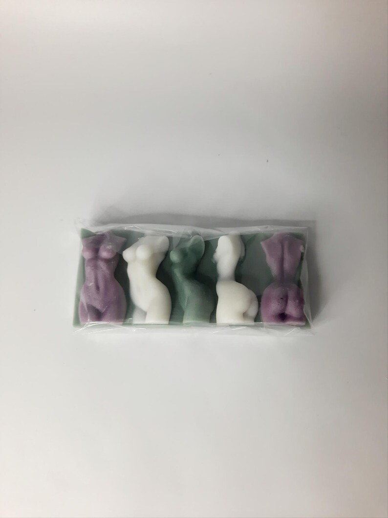 Puede incluir: Un conjunto de cinco peque&ntilde;as figuras decorativas en una bolsa de pl&aacute;stico transparente. Las figuras tienen forma de torso humano y est&aacute;n hechas de un material suave y flexible. Las figuras son de varios colores, incluyendo morado, blanco y verde.
