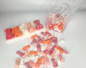 Lesbian Flag Mini Torso Wax Melts, LGBTQ Anniversary Gift