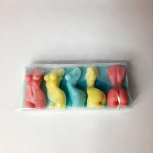 Puede incluir: Cinco figuras moldeadas de colores en un paquete de pl&aacute;stico transparente. Las figuras son en tonos de rosa, amarillo y azul. Las figuras est&aacute;n dispuestas en una fila sobre un fondo azul claro.