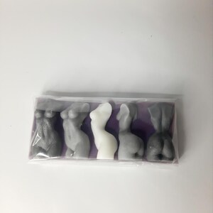 Puede incluir: Cinco peque&ntilde;as figuritas grises y blancas de figuras humanas en una bolsa de pl&aacute;stico transparente sobre un fondo morado. Las figuras est&aacute;n dispuestas en fila, con la figura blanca en el centro.