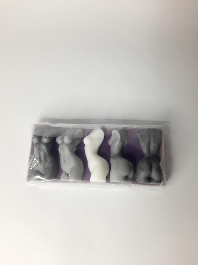 Puede incluir: Cinco peque&ntilde;as figuritas grises y blancas de figuras humanas en una bolsa de pl&aacute;stico transparente sobre un fondo morado. Las figuras est&aacute;n dispuestas en fila, con la figura blanca en el centro.