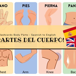 Body Parts Bilingual Digital Flashcards Spanish to English, cute and colourful for kids to learn