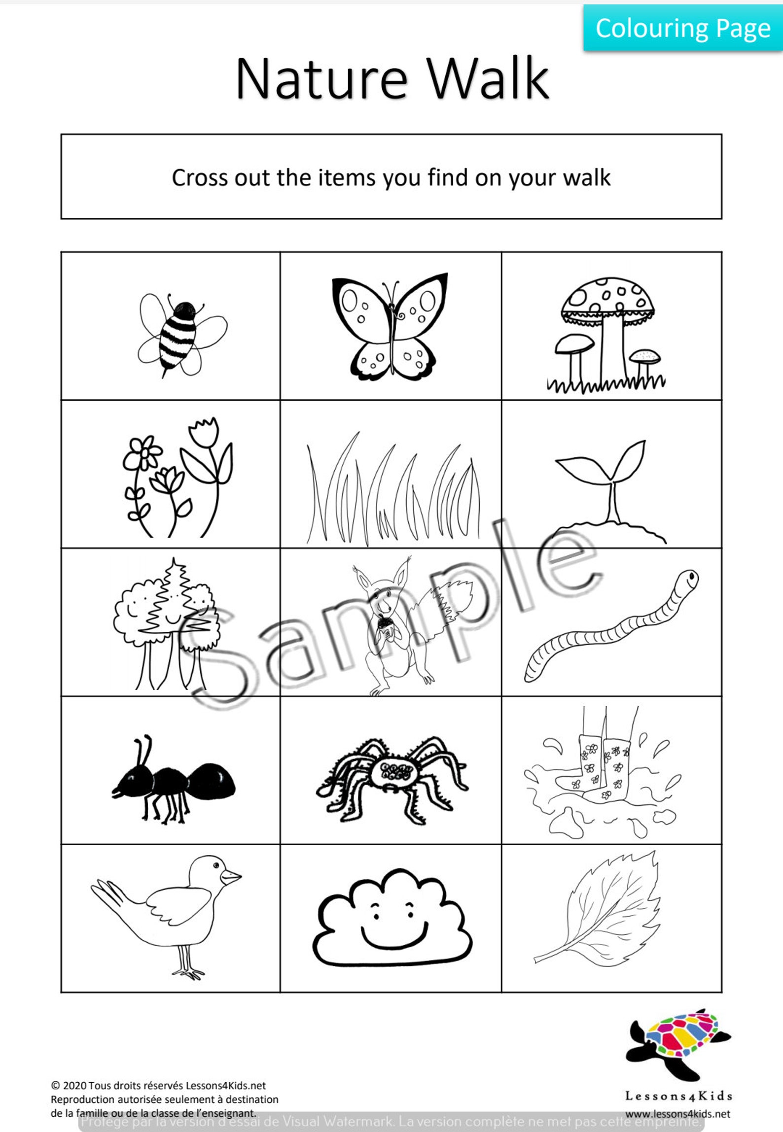 Spring Nature Walk printable flashcards and posters for | Etsy
