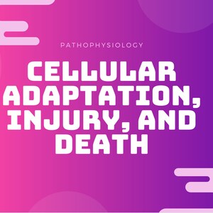 Cellular Adaptation, Injury & Death Patho Notes (PDF DOWNLOAD)
