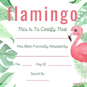 Flamingo Adoption Zertifikat, Adoptieren Sie einen Flamingo, Sofortiger Download, druckbar, Drucken Sie Ihre Selbst, Geschenkgutschein, Geschenk, Partys, Party
