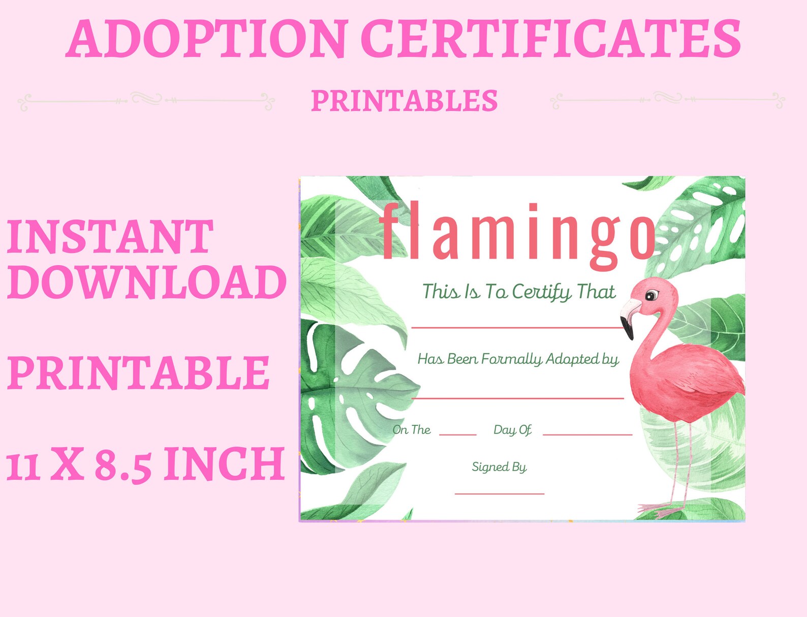 Flamingo Adoption Certificate, Adopt A Flamingo, Instant Download