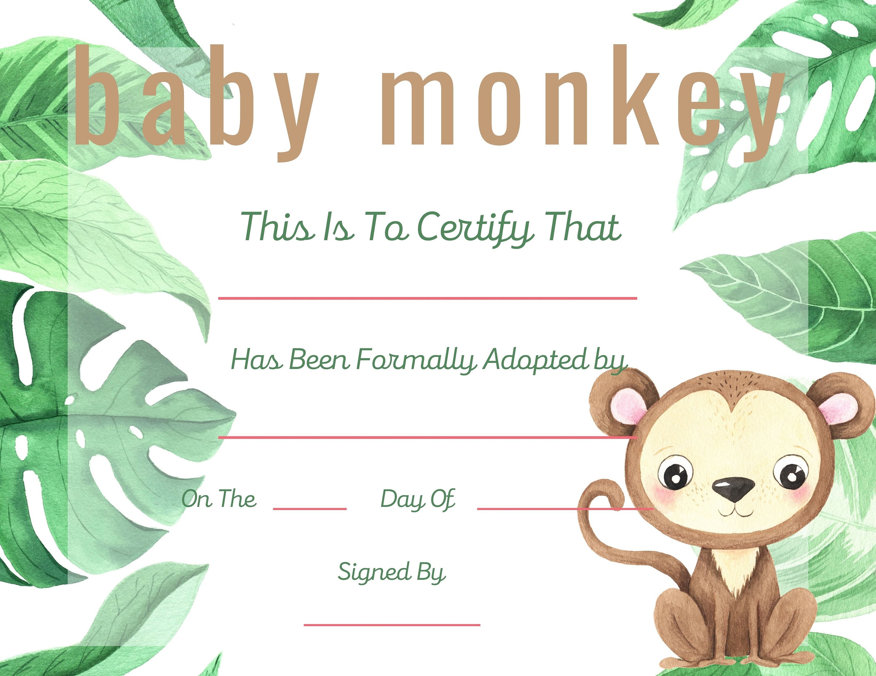 Adopt a Monkey