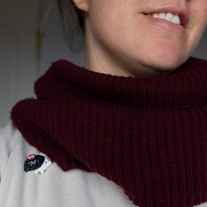 May include: A woman wearing a maroon knitted cowl neck sweater with a small white hedgehog pin on the front.