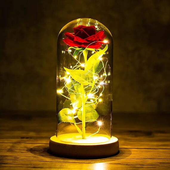 Eternal rose under glass dome and wooden base Etsy