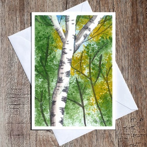 Bouleau, Toutes les occasions, Carte d'anniversaire pour lui, Carte de voeux aquarelle nature, Vierge avec enveloppe, Carte de correspondance pour toutes les occasions
