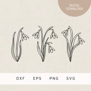Plotterdatei | Schneeglöckchen | SVG | DXF | PNG | Eps | Hallo Frühling | Frühlingsblumen | frohe Ostern | Osterhase | Frühlingszeit Blumen
