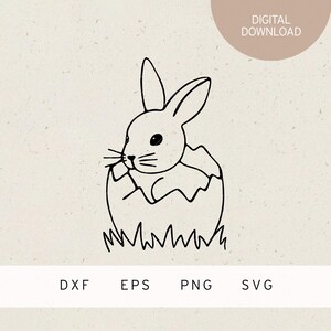 archivo plotter | Conejito en el huevo de Pascua | Archivo SVG | Archivos DXF PNG | EPS | Pascua | Por fin primavera | Conejito de Pascua | felices pascuas | primavera | primavera