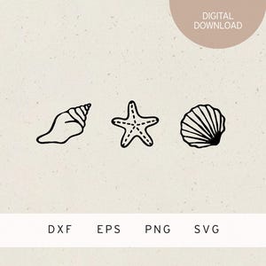 Fichier plotter | 3 coquillages | SVG | DXF | PNG | EPS | Voyage | Été | Soleil | Vacances | Détente | Plage | Maritime | Mer | Vie marine