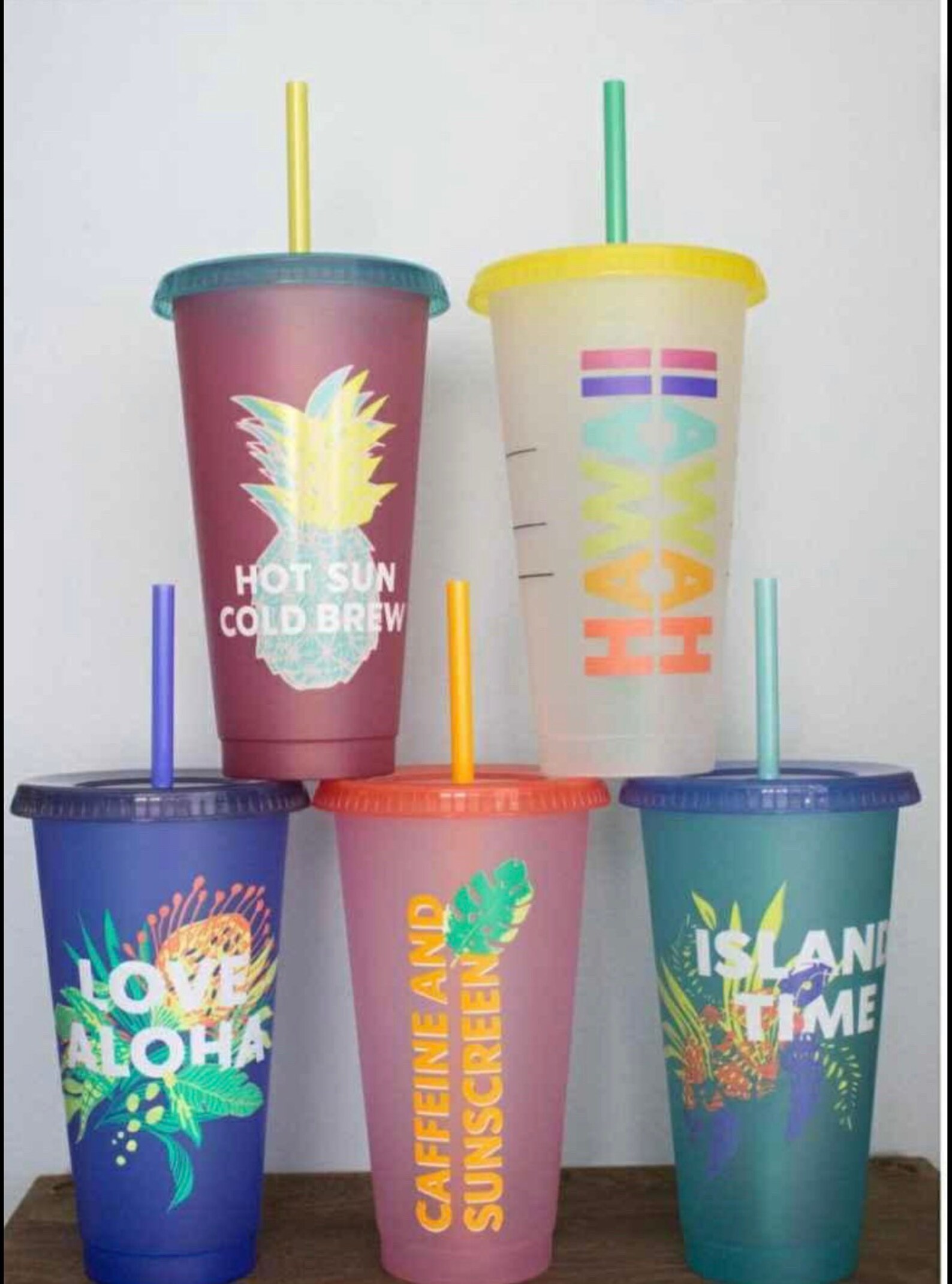 Starbucks Tumbler Hawaii Aloha Vibesset of 5 Etsy Singapore