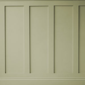 May include: A wall with vertical wood paneling painted in a light sage green color.