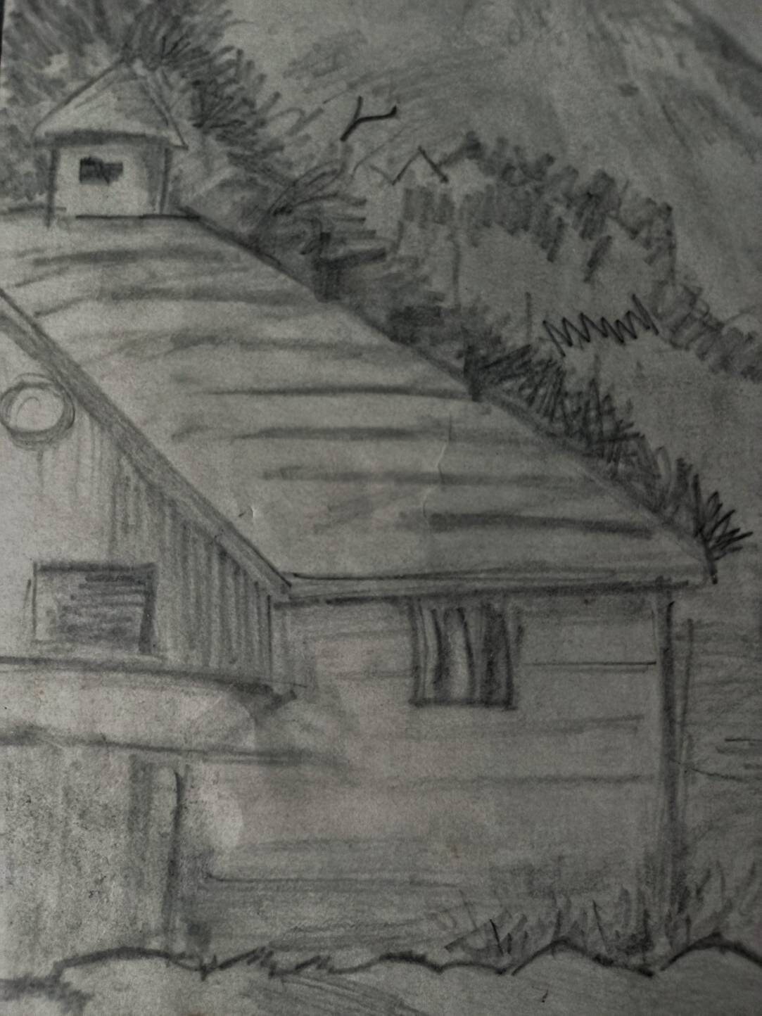  Graphite pencil sketch on paper Etsy