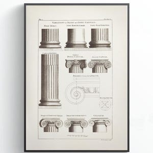 May include: Framed print featuring architectural drawings of classical columns. The black and white illustration showcases various column styles, including Doric, Ionic, and Corinthian, with detailed diagrams. The print is set against a white background, with the text "OTILIA ANTIQUE" at the bottom.