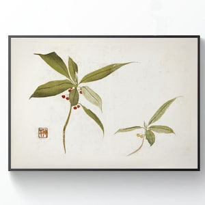 Japanese Botanical Illustration, Sakai Huitsu, INSTANT DOWNLOAD, Vintage Oriental Art, Edo Period Botanical Art Print, Antique Japan Poster