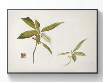 Japanese Botanical Art Print: Vintage Edo Period Illustration (Instant Download)